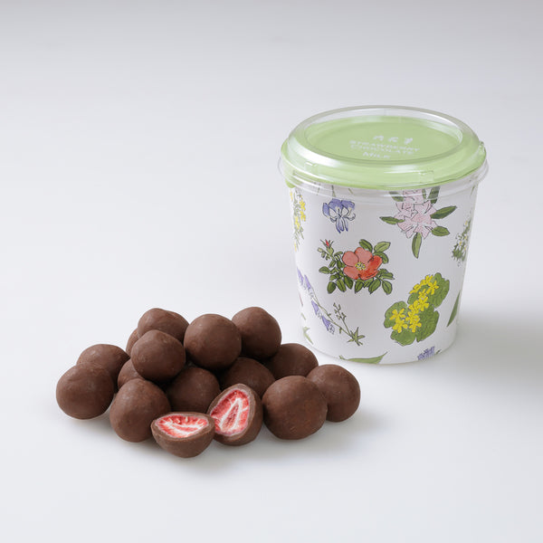 【COOL EMS】六花亭 草莓巧克力 牛奶巧克力